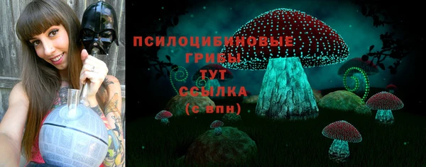 a pvp Володарск